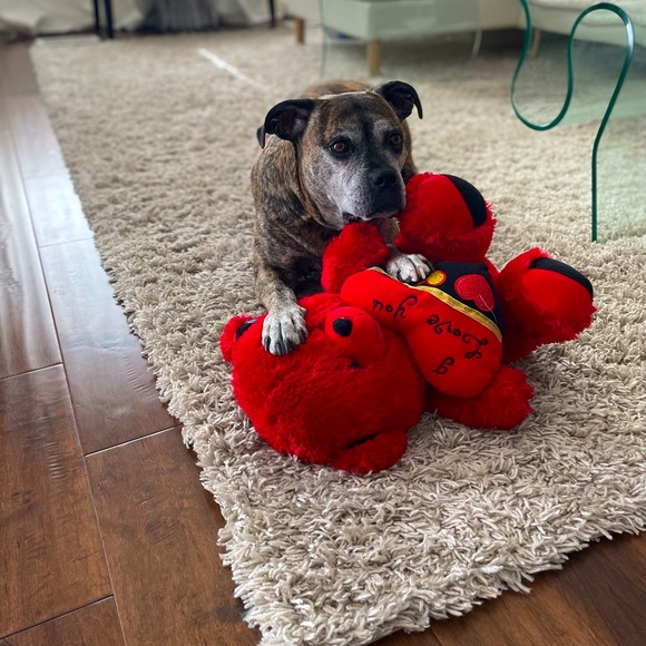 Meet your Posher, Jasmine - Picture 1 of 1